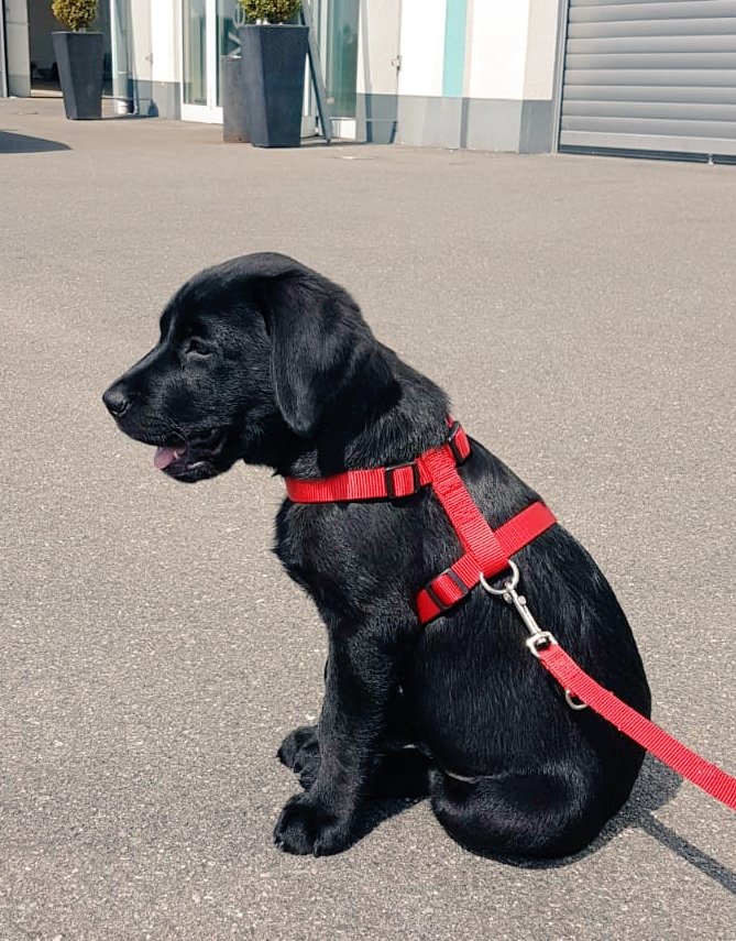 Der erste Ausflug zu den Arbeitskollegen 😍