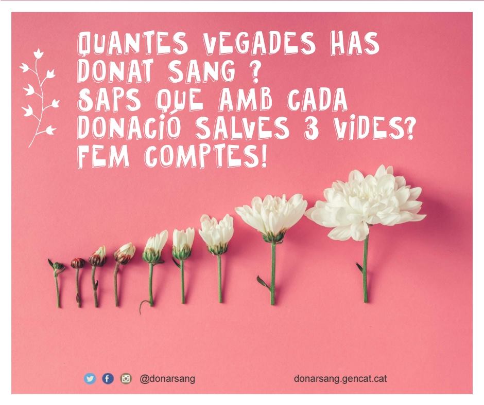 donarsang's tweet photo. 1, 2 i 3. Cada vegada que dones sang ajudes a salvar 3 vides. Aviat comencen les setmanes més complicades de l'estiu pel que fa a donacions. Si tens un moment, vens i ens ajudes a mantenir les reserves? Ho dius a tothom? ❤️ https://t.co/GwNnyNMSRm https://t.co/CE7IPYUxDV