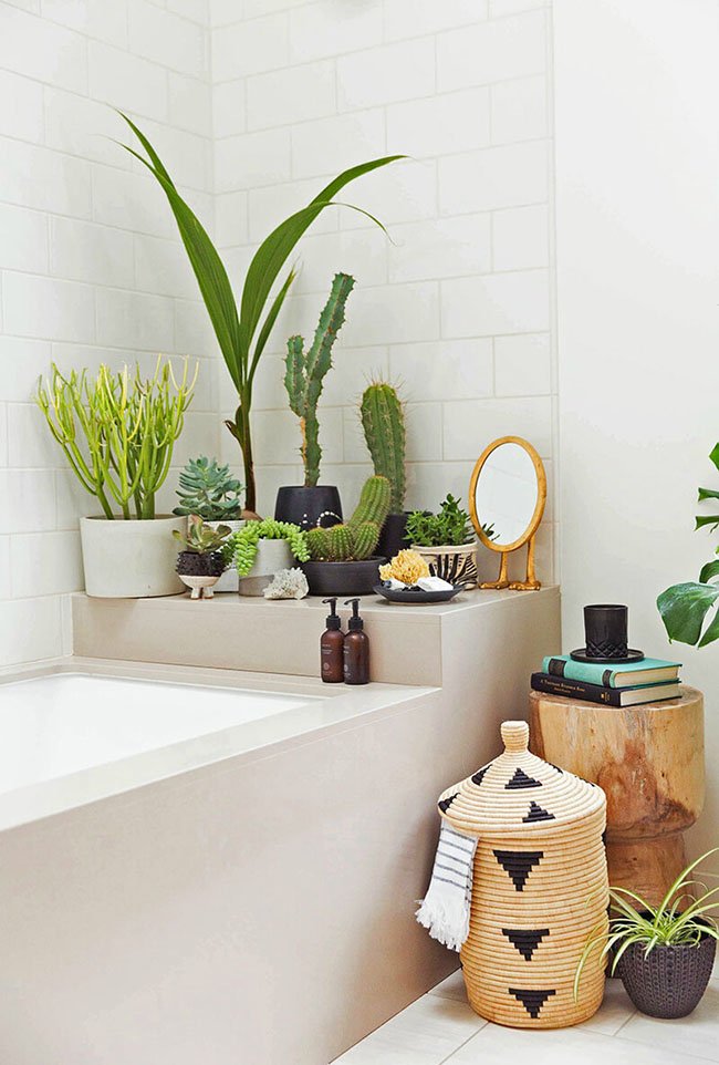 AmboageReformas's tweet photo. Consejos express para poner el baño al día en su decoración

https://t.co/KAZUpNoIAx https://t.co/Zzp2ShMGiJ