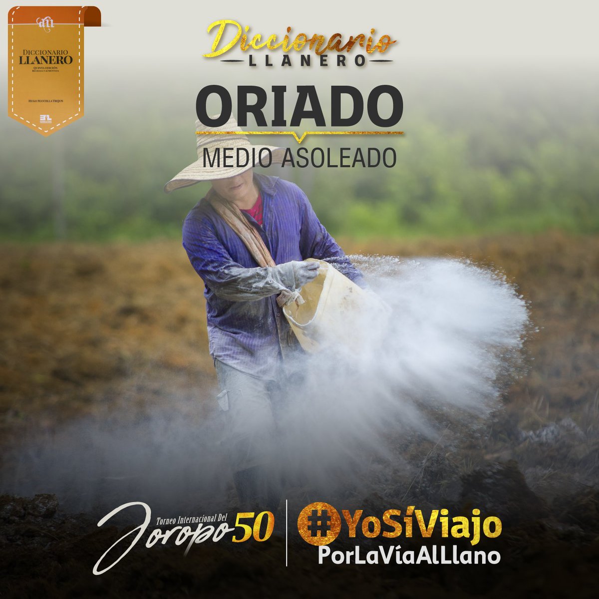 SecretariaAgro's tweet photo. Aquí, en los llanos orientales decimos ‘oriado’ para referirnos a algo medio asoleado. #DiccionarioLlanero #50TorneoInternacionalDelJoropo #YoSíViajoPorLaVíaAlLlano. Si conoce algún término, coméntelo. https://t.co/6P81g4ckZP
