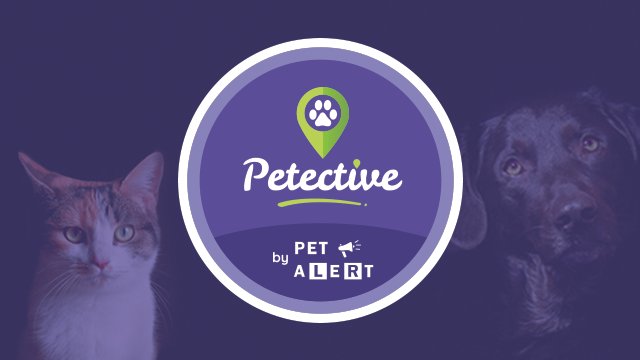 Petective_app's tweet photo. Notre nouvelle campagne de financement participatif est en ligne : https://t.co/10BipOFDQL

On compte sur vous pour aider nos animaux #chat #chien #animaux #ulule #crowdfunding #Petalert #app #pets #Financement https://t.co/H6kwTfsyXY