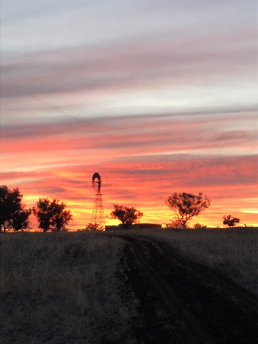 dave_brownhill's tweet photo. Red at night! Shepherds f&amp;$@ing delight!! https://t.co/7L6RTrhdzq