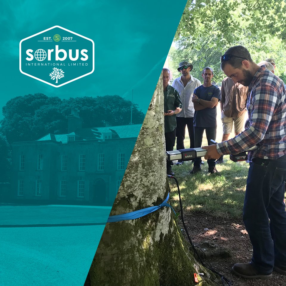 Sorbus International tweet media