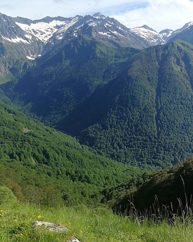 camp_fr's tweet photo. Beautiful lush greens with a sprinkling still of snow #pyrenees #montagnes #ete #summer #walking #snow #green #beauty #nature #landart #photography #art #music #artistopportunities #artsresidency #ecoacoustics #writing #exhibitions #performance #installa… https://t.co/TKdjRRZSlj https://t.co/DZAPyzyVHU