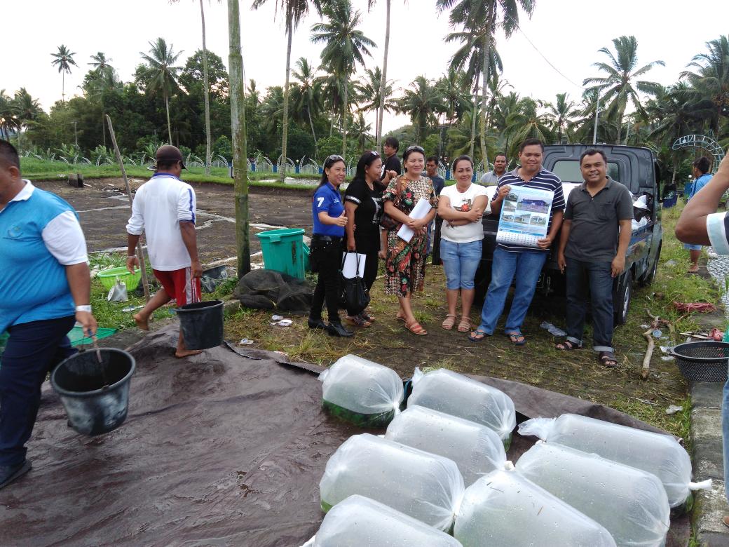 DJPB_TATELU's tweet photo. Bantuan benih ikan nila 250.000 ek kpd 15 klp kab. Minahasa Selatan @BudidayaKKP @s_soebjakto @Fernando_bbl https://t.co/SOMGGhLihS