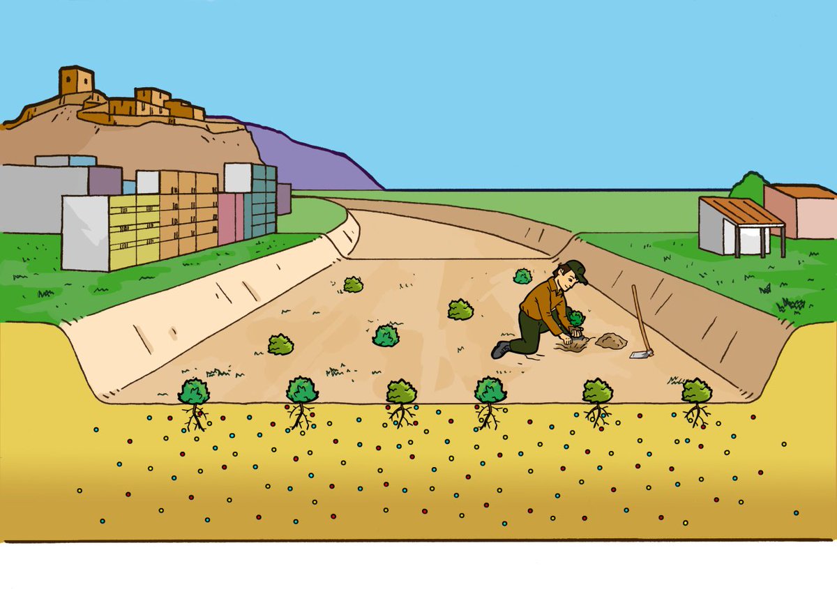 Life_Riverphy's tweet photo. Así se ha desarrollado el Proyecto #LIFE #RIVERPHY en el cauce fluvial del río Guadalentín a su paso por la ciudad de #Lorca (Murcia) 🌱💦 ➡️ https://t.co/mmgffuVD3k

#fitoextraccion #metalespesados #ResiduoCero #Biomasa https://t.co/o1kD4NEQA8