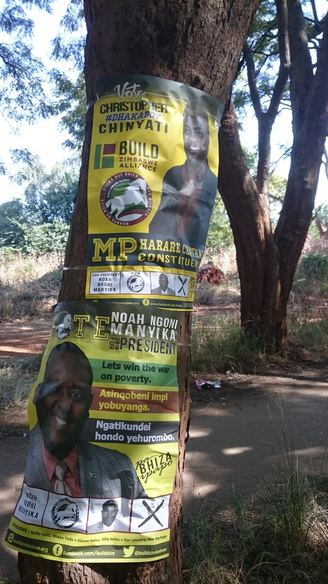 AfricanElect's tweet photo. As the 2018 Elections draws closer campaigning posters are now seen everywhere in harare. https://t.co/2uVvlTwDbN