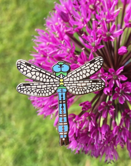 RisleyMossAG's tweet photo. Green Safari Day is nearly here! Come and say hello to us on the RIMAG stand, and maybe buy a dragonfly pin for the Replacement Tower Fund! Hope to see you on Sunday, 12-4pm :) https://t.co/LTTTMYRiEo