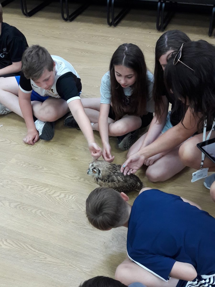 YTGlanllyn2018's tweet photo. https://t.co/1A0tGCZlsk