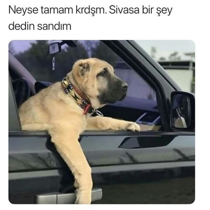 HseyinDEVEC4's tweet photo. Yok Abi Ne Diycem Ya😂 https://t.co/Yfj3usdgQo