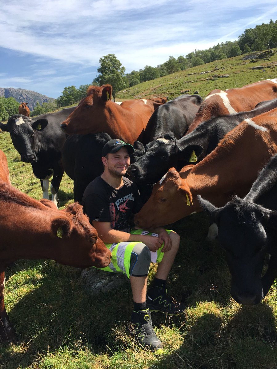 Q-bonden Robert. Han drive gard i Bjerkreim i Rogaland. Adle dyrå hans æ ute nå på sommaren å han ser innom dei kvær einaste dag for å sjekka at alt æ i orden! Dagens høydepunkt for både folk å fe! <a href="/QBentM/">Bent Myrdahl</a> <a href="/QMeieriene/">Q-Meieriene</a>
