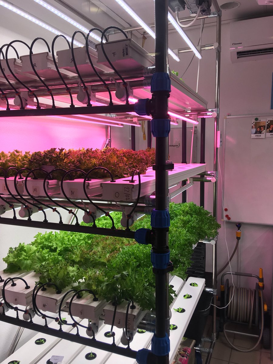 agritecture's tweet image. More pics of @OneFarmIO at @alab_AMS as part of #40daysofagritecture

#INALAB