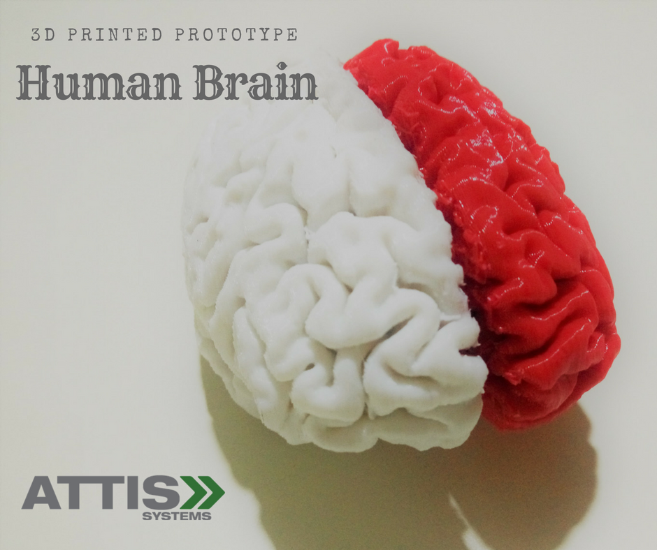 attissystems's tweet photo. Make science more interesting with hands-on learning with our STEM education curriculum with 3D printing.
#STEMindia #STEMeducationindia #modernlearningindia #educationalkitsindia #studykitsindia #sciencekitsindia #humanbrainkit #STEMkitsindia #biologykits #biology https://t.co/UHNNZh8MGe