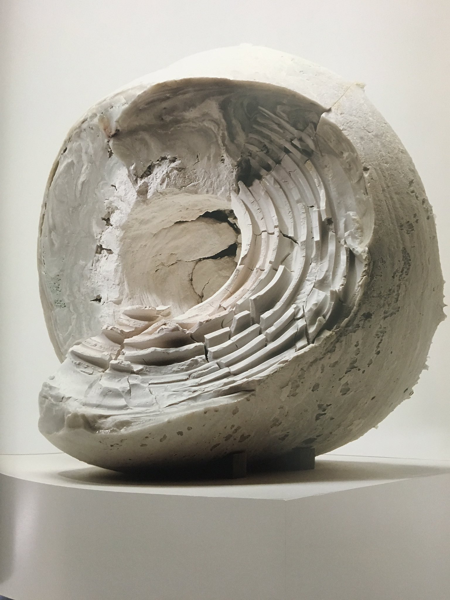 西田潤作 青磁酒盃