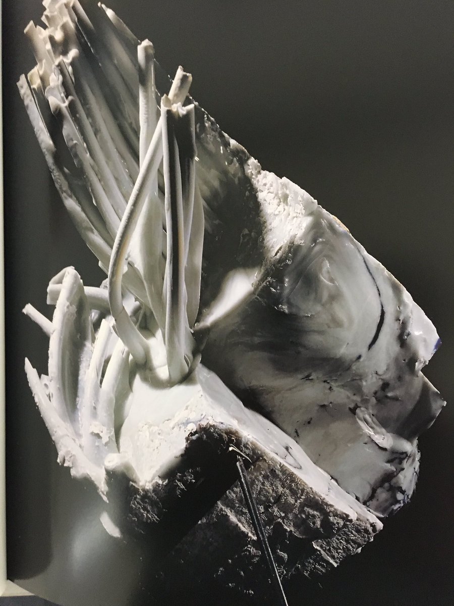 重版情報】西田潤作品集『絶』 12年の時を経て、待望の復刊！ 叩き割る