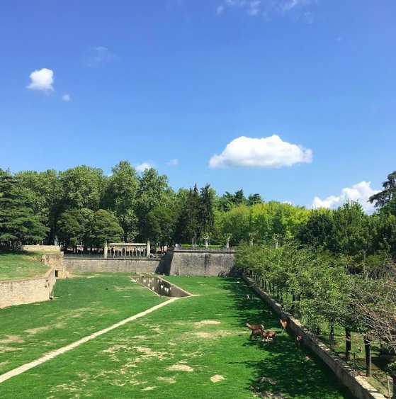 VisitNavarra's tweet photo. Uno de los parques más antiguos de #Pamplona son los Jardines de la #Taconera. Un espacio idílico para ver los animales que habitan en los #fosos, o perderte entre su variada vegetación.-->
https://t.co/8HqAcLFvqW
(Foto: @arquimama / Instagram ) https://t.co/BUhs4yd0ic