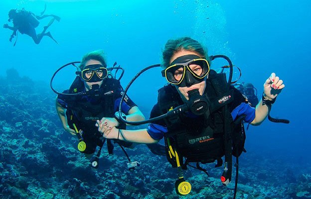 PanamweTour's tweet photo. If you really wants to make your #ZanzibarTour memorable. Then join us for #ScubaDiving and get the most exhilarating experiences in your vacation.
https://t.co/40GB542cbT https://t.co/1RmQOjInDm