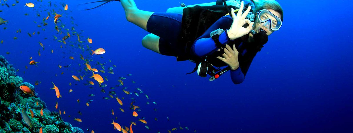 PanamweTour's tweet photo. If you really wants to make your #ZanzibarTour memorable. Then join us for #ScubaDiving and get the most exhilarating experiences in your vacation.
https://t.co/40GB542cbT https://t.co/1RmQOjInDm