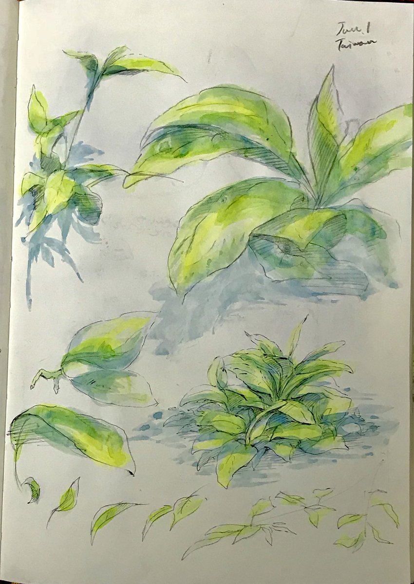 Daily sketches 
