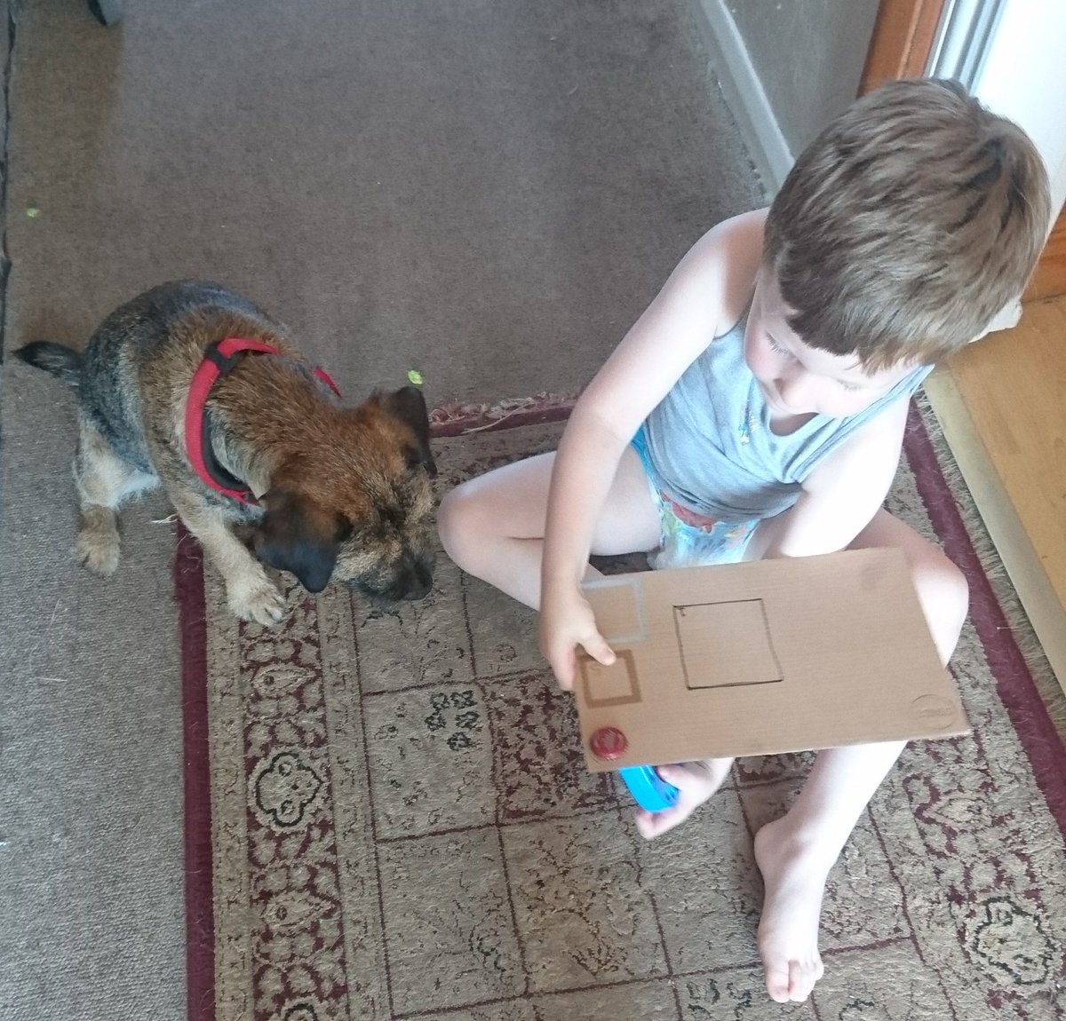 ChipperTanner's tweet photo. Every great performer has to start somewhere 😊
And having a little #BorderTerrier thats not only besotted with you, but fascinated by your newest magnetic magic trick, means you will always have a willing test audience 😍

#DogAndHisBoy
#FriendshipGoals
#DogsAreLove
#MagnetsRule https://t.co/byU9oOciBi