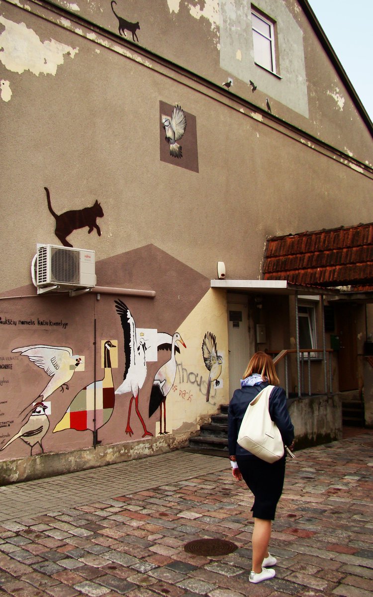 MalonnyArt's tweet photo. "Cat Wall" by Meg Regelous (2017, 4th #Malonny). Meg’s work can be characterized by magnifying small and individual details. She completely changed her idea after seeing Marijampolė and hearing the story about the square of cats. Therefore, she drew even more cats and birds. https://t.co/ycCLWUdOc1