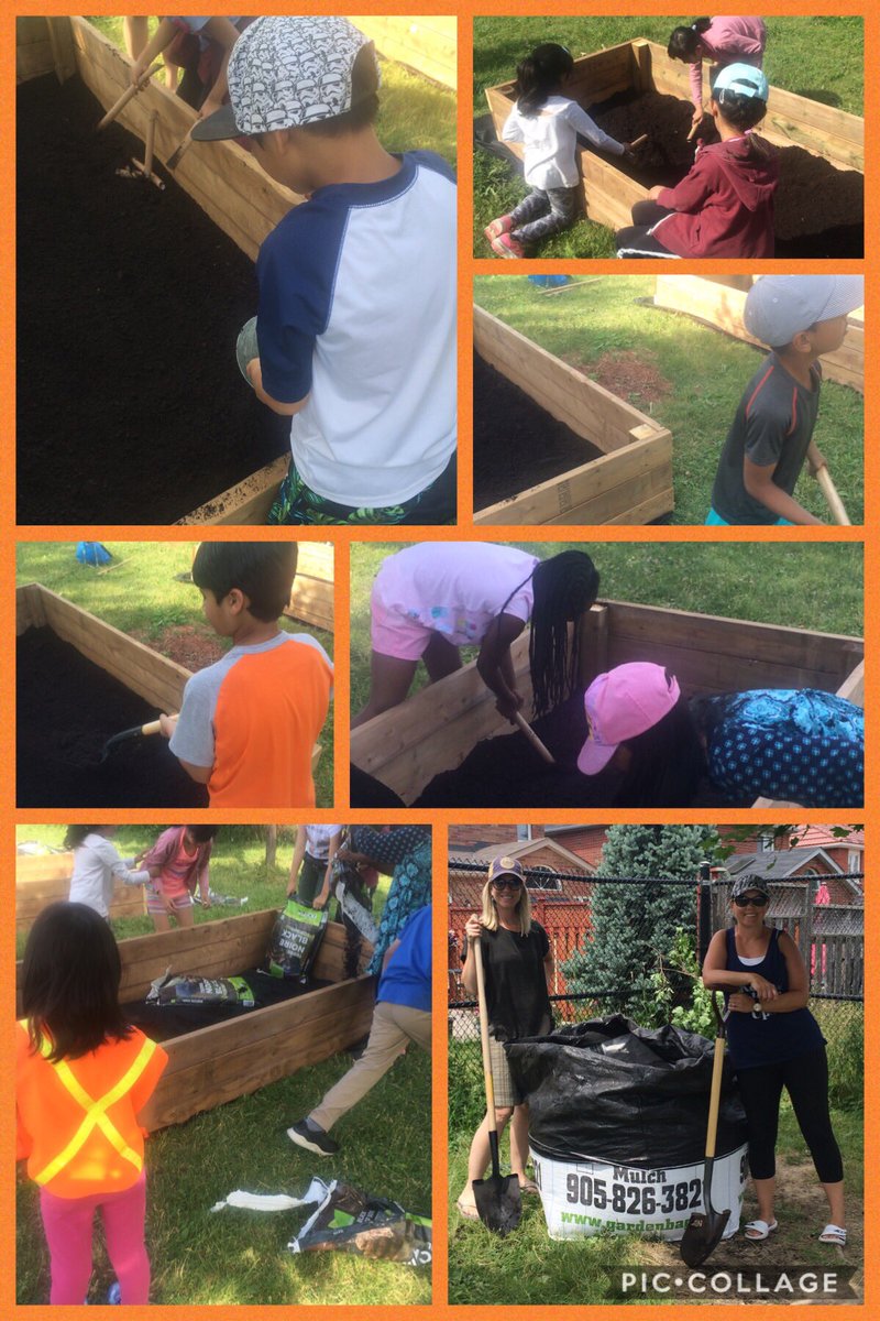 Eco Teacher On Twitter 3 Sisters Garden Creating Opportunities