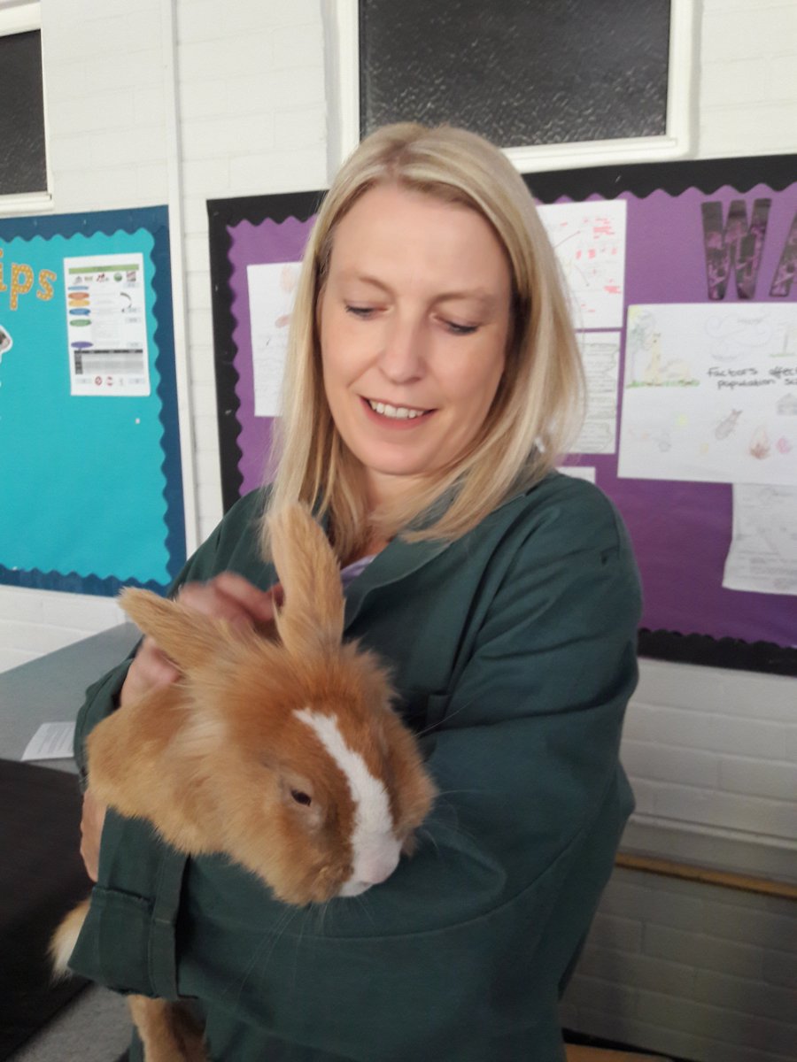 jean_turley's tweet photo. @AHCCTeachLearn @AllHallowsFarm https://t.co/y16Sbomn3o