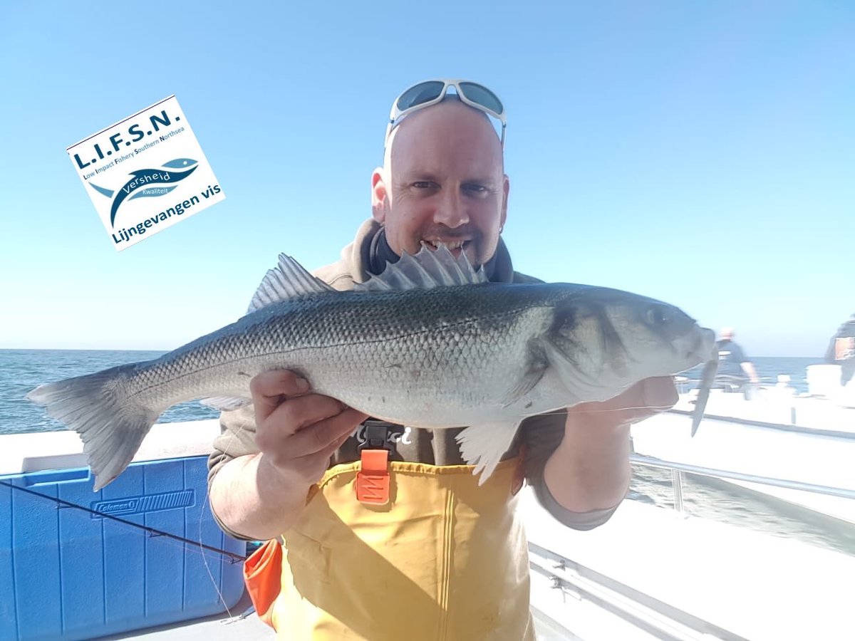 LIFSN_North_Sea's tweet photo. Johan, thx for participating so much to the delivery of fresh seabass.  
The LIFSN FISHERMAN stands for sustainability, freshness and most of all, respect for the resource. 
#noheavygear #noelectricity #nobycatch https://t.co/CQ5JRUYiLi