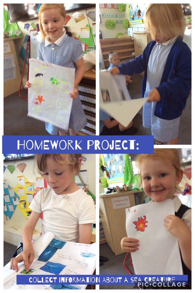 Highgateacademy's tweet photo. Check out these fantastic homework projects! Children were given the task of researching a sea creature. Well done everyone! #ClassJM #understandingtheworld https://t.co/H2jG3EYOAA