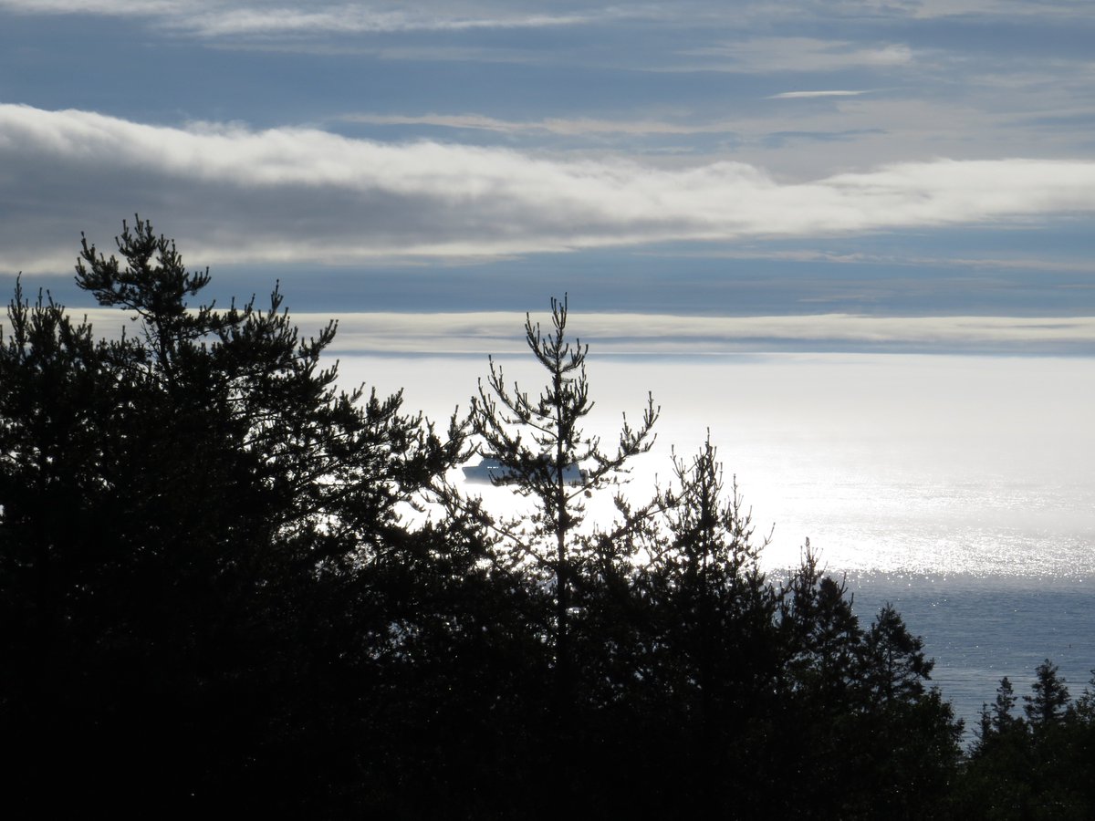 Grand Manan Island tweet media
