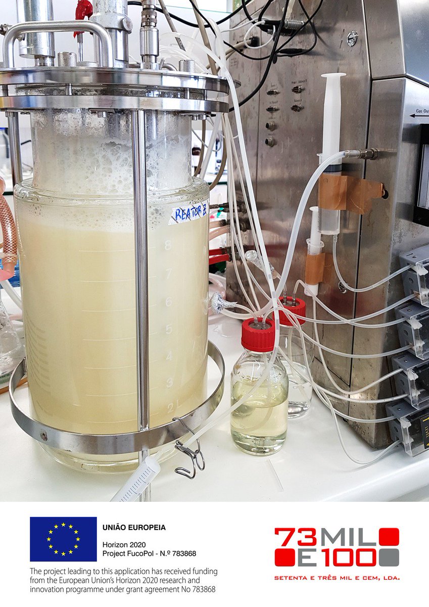 fucopol's tweet photo. Our bugs at work!  #innovation #fermentation  #FucoPol #H2020 @EU_H2020 https://t.co/w8u3KqIRBu