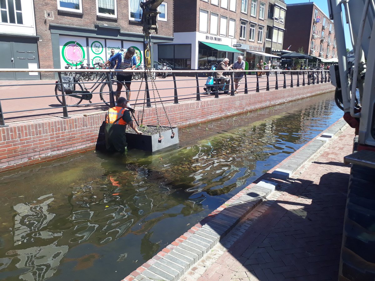 kirstenvanrijen's tweet photo. In de Nieuwstraat zijn gele plompen in de #Jansbeek geplaatst en op het Audrey Hepburnplein worden 15 bakken met planten in de beek gezet. https://t.co/6YJot6lVW2