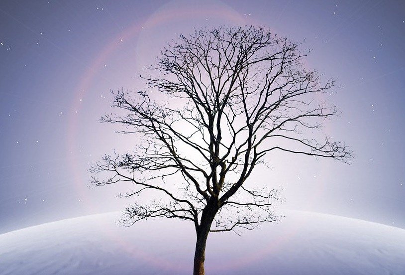 Resultado de imagen para Todo lo que hacemos está registrado