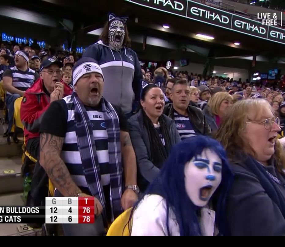 Adam 1.0 tweet media