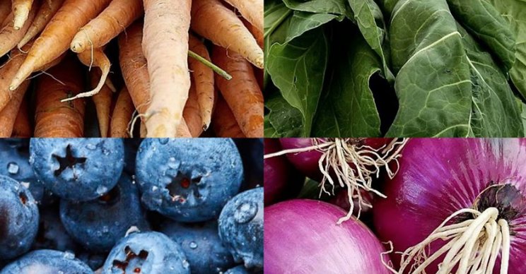 Camden Farmers Market is today from 3-7pm at North Market. Stop by and enjoy!