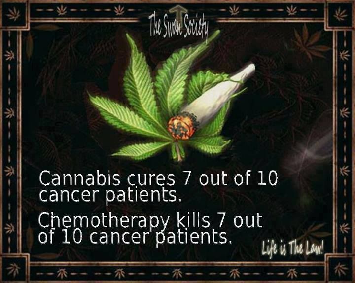 cannaworldsite's tweet photo. https://t.co/2raKlTW8xc
