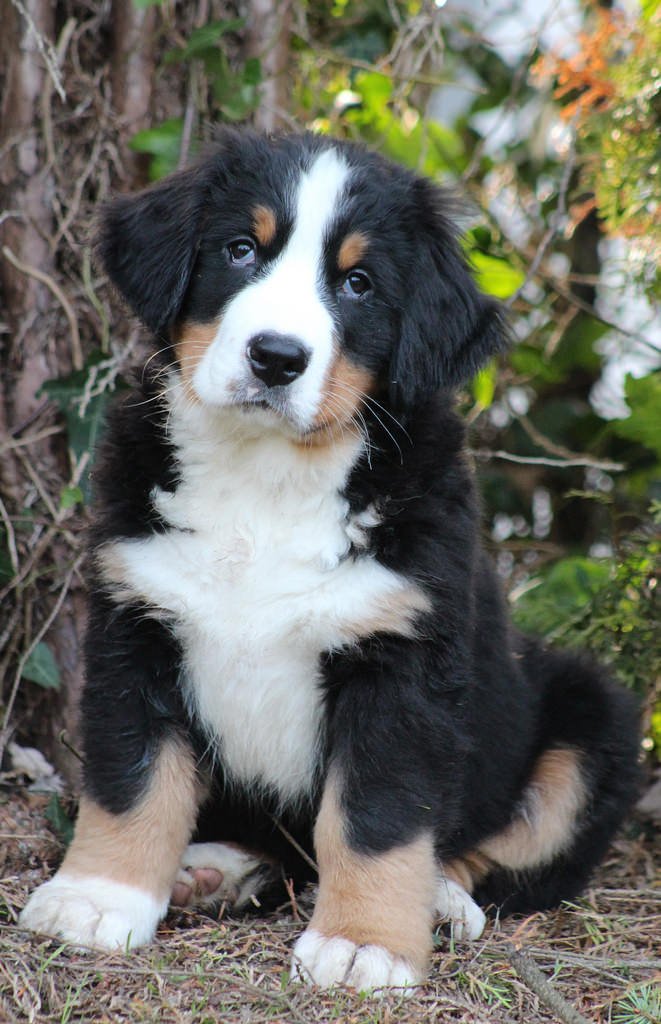 trckurl.live/index.php?uniq…