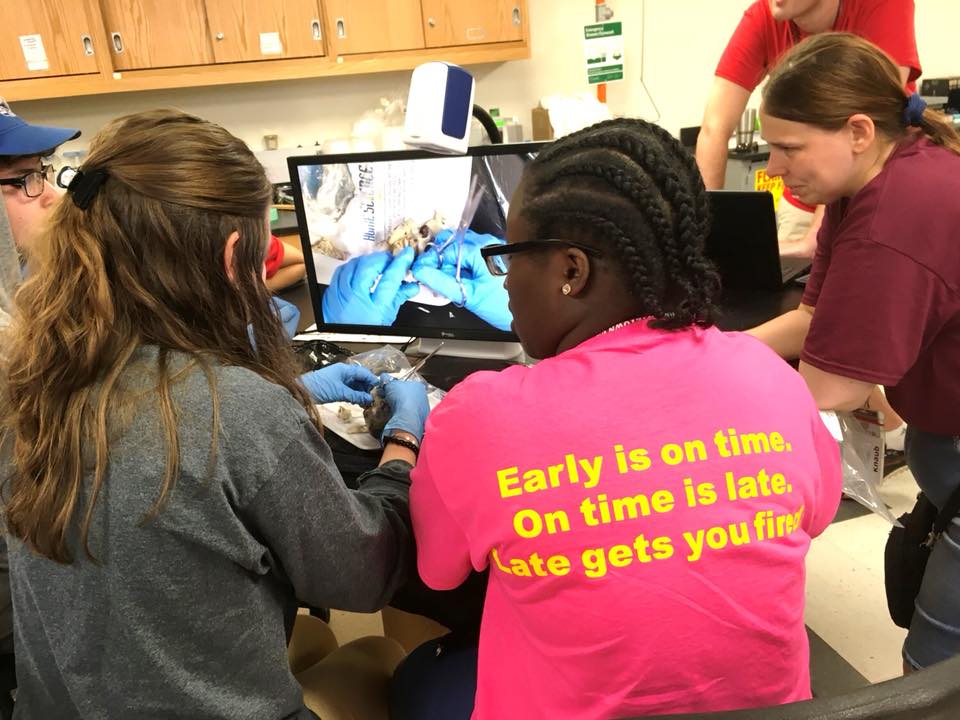 PALaborIndustry's tweet photo. Bureau of Blindness & Visual Services, @PADeptofEd, @KutztownU & @SalusUniversity offers a 5-day program that helps students who are blind/visually impaired explore opportunities in #STEM fields and learn about their visual impairment at Jr. Summer Academy
#AccessEqualsSuccess https://t.co/9YPdlnbiDb