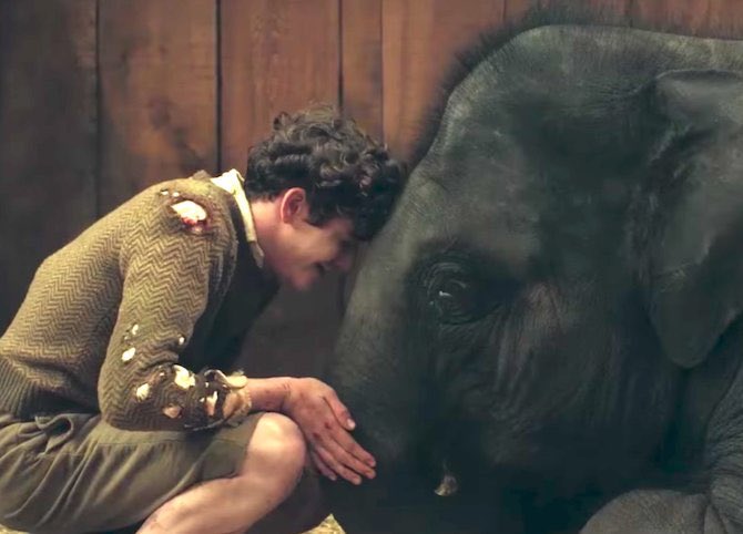 Zoo released today in cinemas across the north of Ireland! Go see it and let us know what you think of this locally set and produced film!