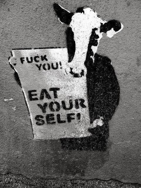 sandreti's tweet photo. I'm trying to be nice to all people. I really do.
But when someone ridicules me for the #veganlifestyle
I just can't.  Animals are not here for us! Period!
#SamePlanet #SameEmotions #SameRights https://t.co/bzYsVeyAGk