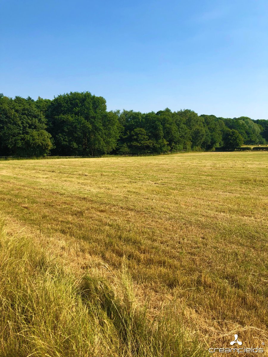 Creamfields's tweet photo. #SitVisit Which arena do you think this will be? π #Creamfields21 π https://t.co/4jblgxDpFt https://t.co/4Y8t7zJmtA