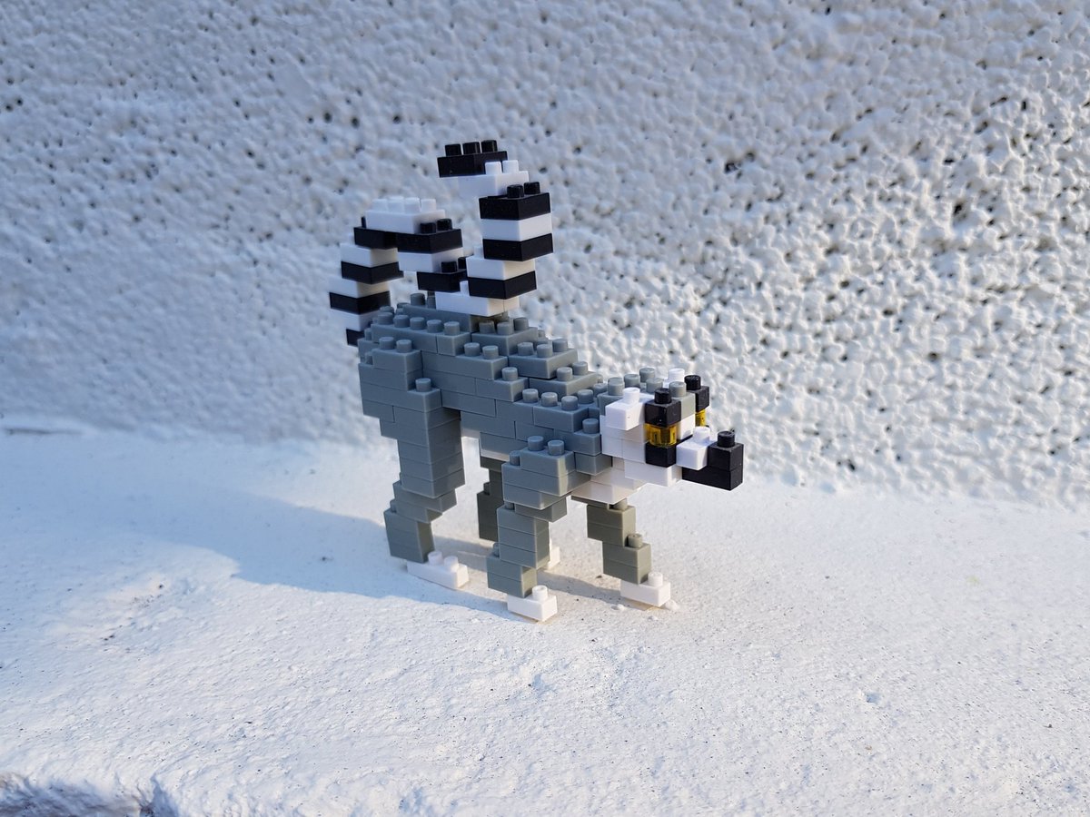 CraftsRingtail's tweet image. I've got that #FridayFeeling AND I've decided that Friday is now also #FunkyLemurFriday where I'll share with you all the funky lil lemurs that I've found over the years, starting with this pixelated fella who I enjoyed building very much a few xmases ago 🧡