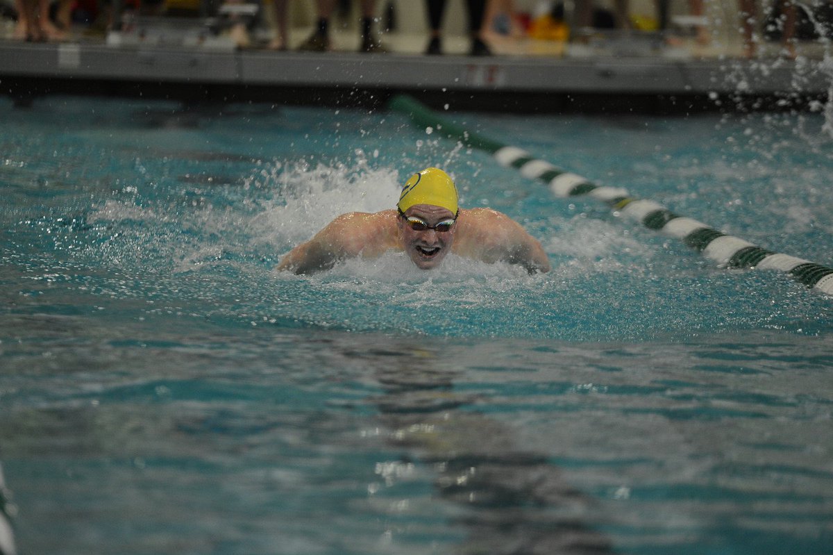 Loyola Swimming tweet media