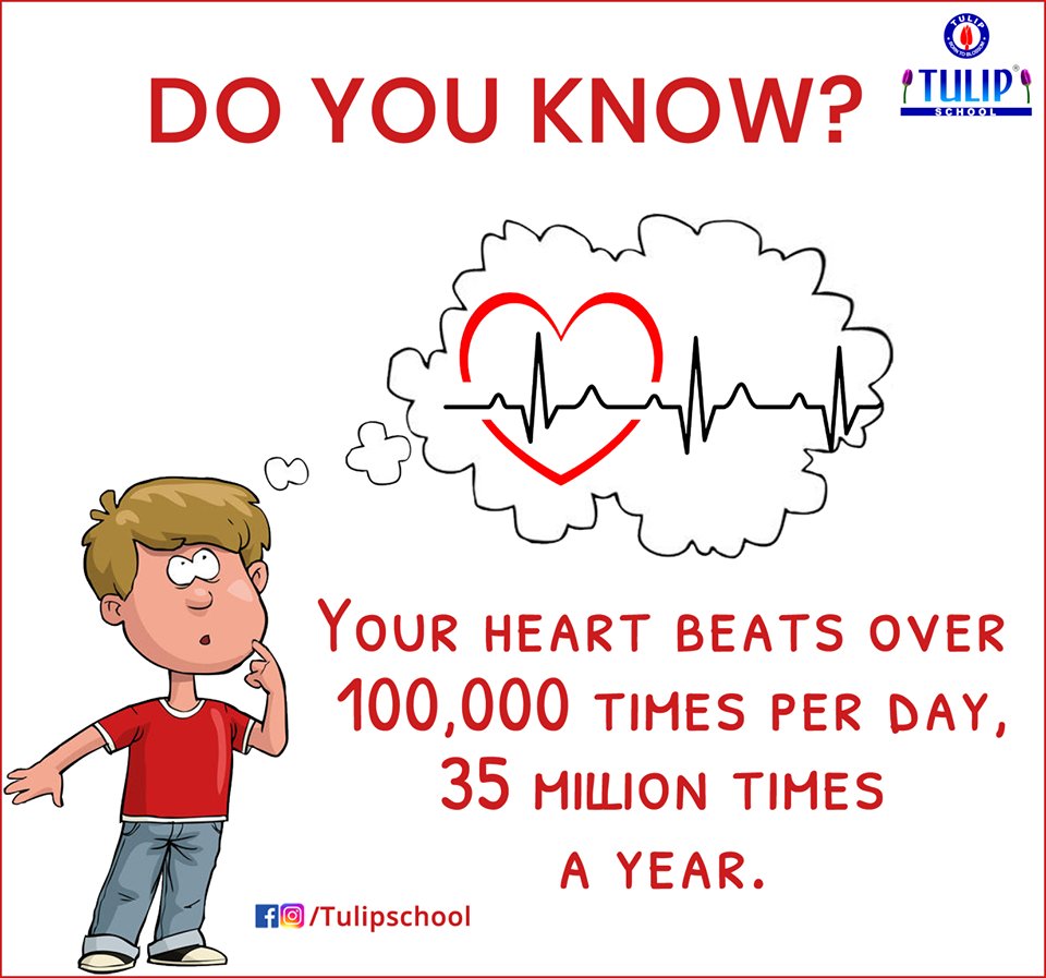 Image result for Your heart beats around 100,000 times a day animation images