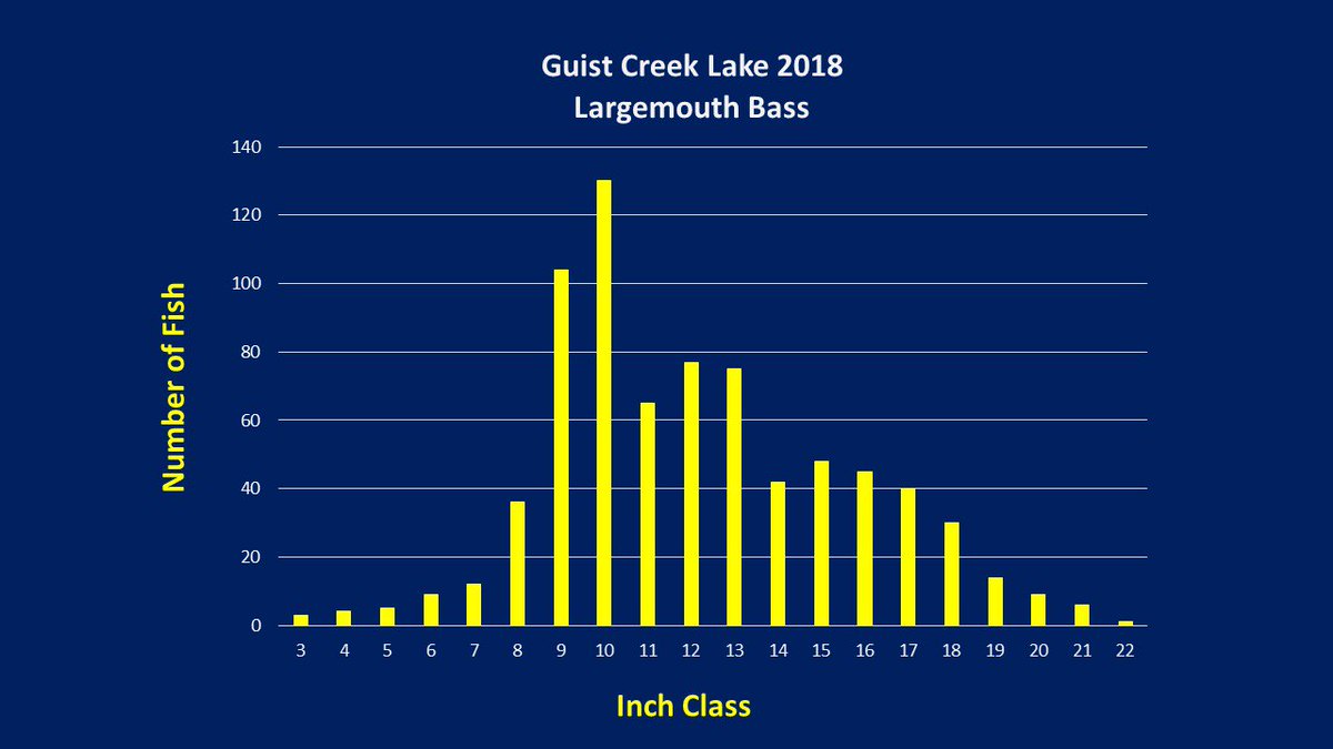 Spring largemouth #bass sampling at #GuistCreek Lake showed excellent numbers of keeper size fish(>12"), plus good numbers of bass over 20 inches.  The #saugeye fishery is looking good for both numbers and size.