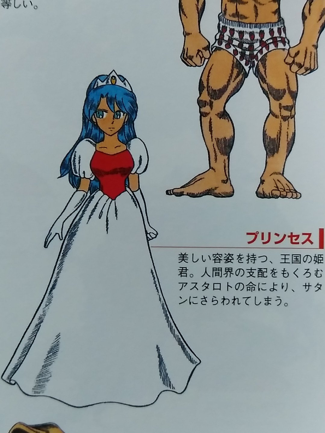 りょう Street Fighter 順番に 魔界村 大魔界村 超魔界村 極魔界村 のプリンセス カプコン公式ガイドなのに 名前がないかのように まったく載ってない