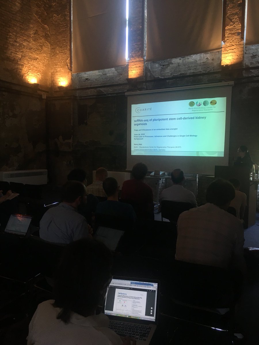 IRILifeSciences's tweet image. More selected short talks: @NancyScience from @ChariteBerlin is introducing #RNA-sequencing of human #pluripotent stem cell-deriveded #kidney cells. #SingleCellBerlin symposium