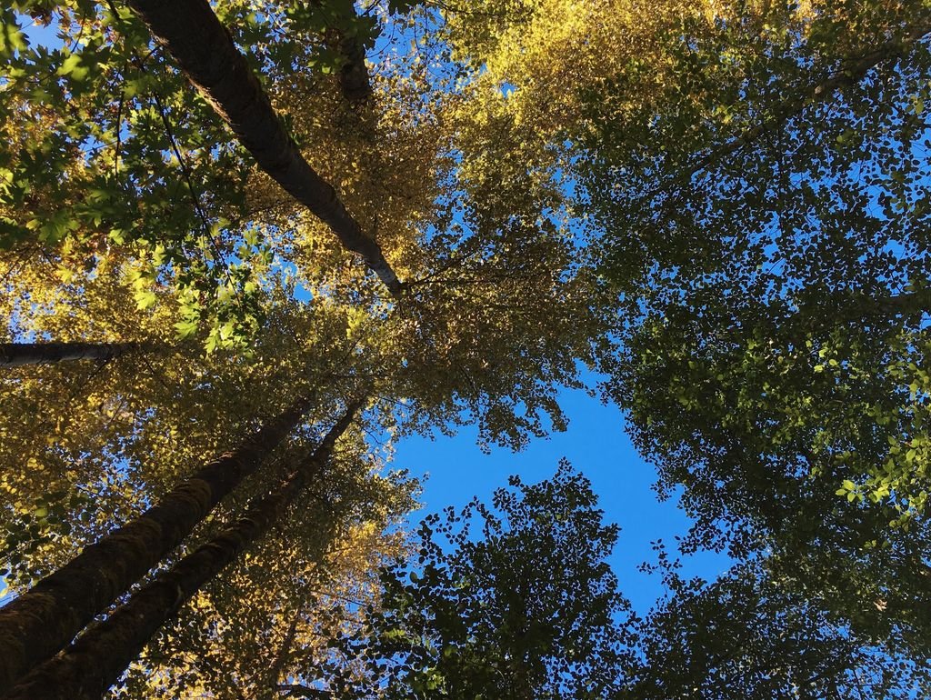 C12Pod's tweet image. Episode Five! Out now! All about #4thStep stuff and how inventory can be a powerful tool for #unclogging old junk #C12Pod #recovery