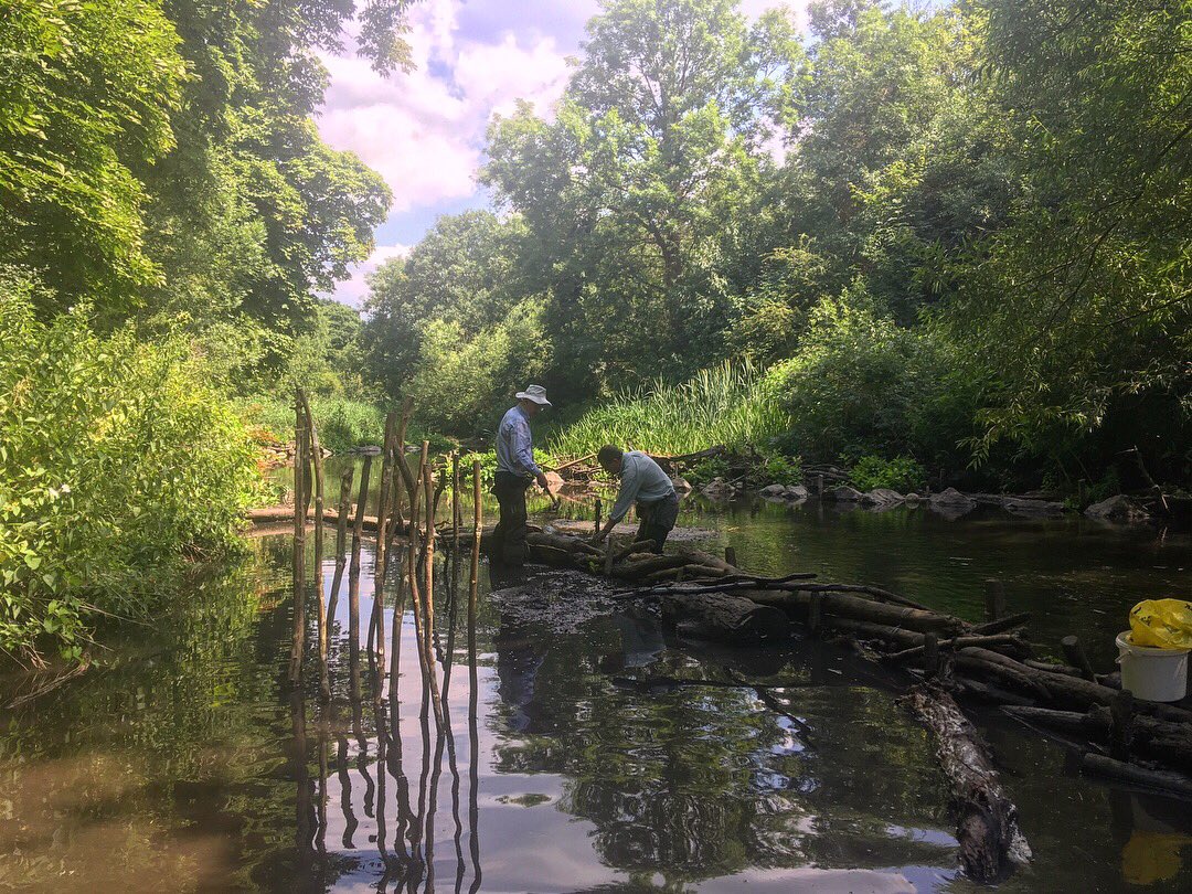 RichmondTCV's tweet photo. On the hottest days of the year so far we spent our time cooling off in the Crane. We were back at it, making improvements to the deflectors situated along the channel designed to improve water quality and flow. The river was heaving with fish, so with think it’s working! https://t.co/k1g5u6ySYO