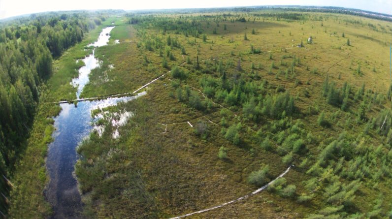 Our new paper on #Peatland #succession after hydrologic disturbance! authors.elsevier.com/a/1XFU3,Q4YJFj… #bog #beaver #wetland #MerBleue #conservationgoals @Waterloo_Geog <a href="/mcgillu/">McGill University</a> <a href="/CornellEEB/">Eco and Evo Biology</a>